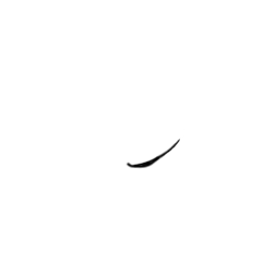 inscription 1d63cde61b480fbe94429e28335100ee66a6171f6ba0db084e9f0082dce9aacci0