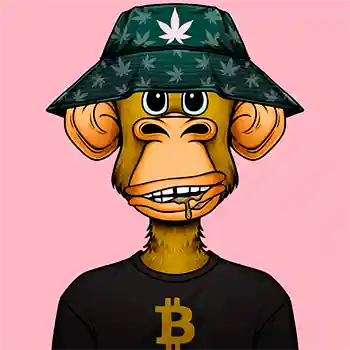 inscription 2295c9971e4e7f87569cfd536cc5021cb30f4e3ffe1411e1557d4e66c2150803i0