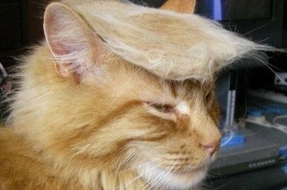 inscription 34181b9f4e1bfd02e4d38355cc05f4d2a6cdc036164abe74dc8b230d1ced1563i0