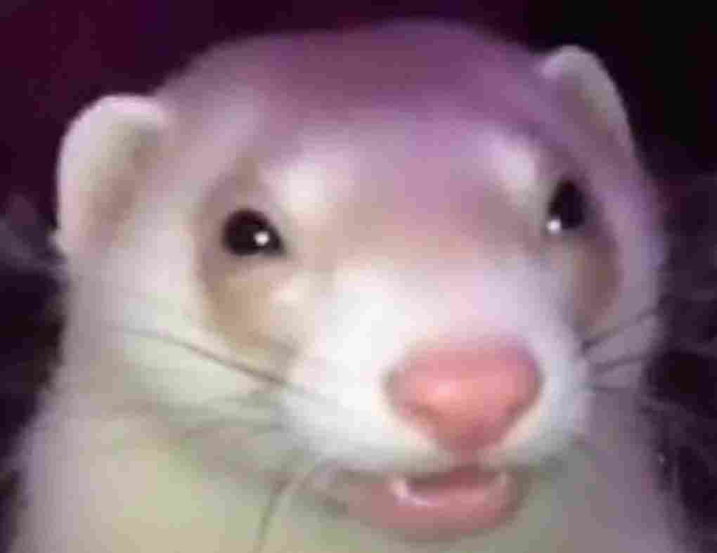 inscription 8156fbc25fc750a8d218e202dc6587226ed42b8b14e01cdcc037eb4e0e222f0ei0