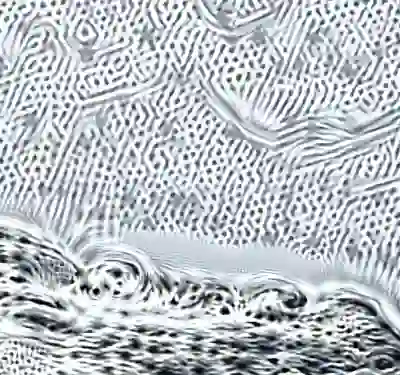 inscription b687cdc23e13e4b80a02fa954aa5c6dc6ef32dfb101bee558f5ac68b7a1bad64i6