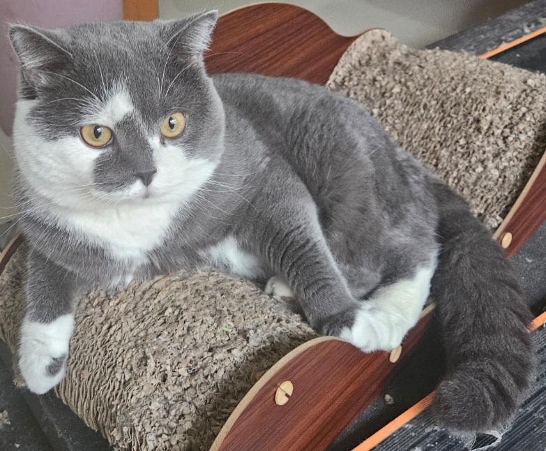 inscription c36a7e183e78fc12a60d5a6cd06e8aaf044043fa9f10dcc3ce5be2da91deb064i0