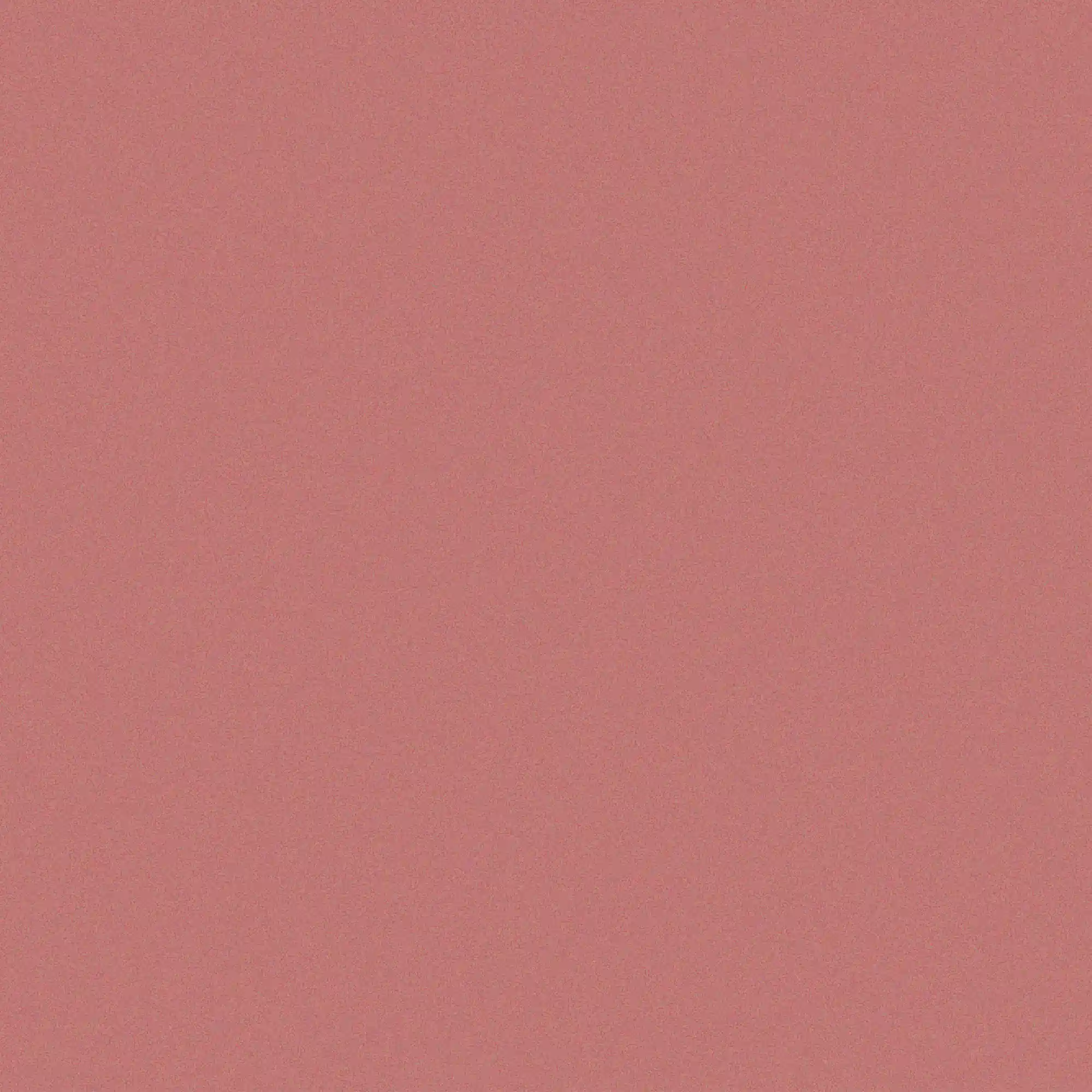 inscription c5996b20012ae3f747d4b3003f320cf95fc761235828e82cf8d8a515a5d36068i2