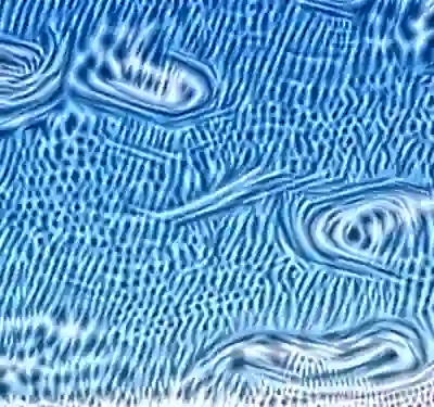 inscription d702e9d52ed640117fcbdfada9bb2a8718fcf968cf7d85db4bc256889937d8d8i6