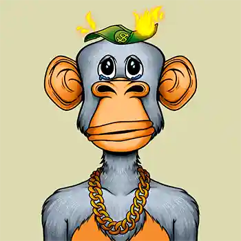 inscription f8f4f846ffb01178011d3bbd3dc6ab09eeeb4e95cec96fa0653e1fc8dfcc41f6i0